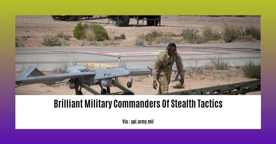 brilliant military commanders of stealth tactics 2