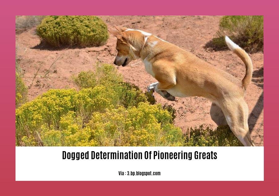 dogged determination of pioneering greats