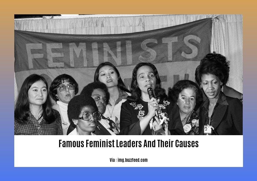 famous feminist leaders and their causes