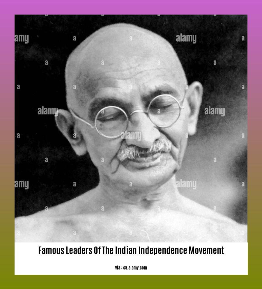 famous leaders of the indian independence movement