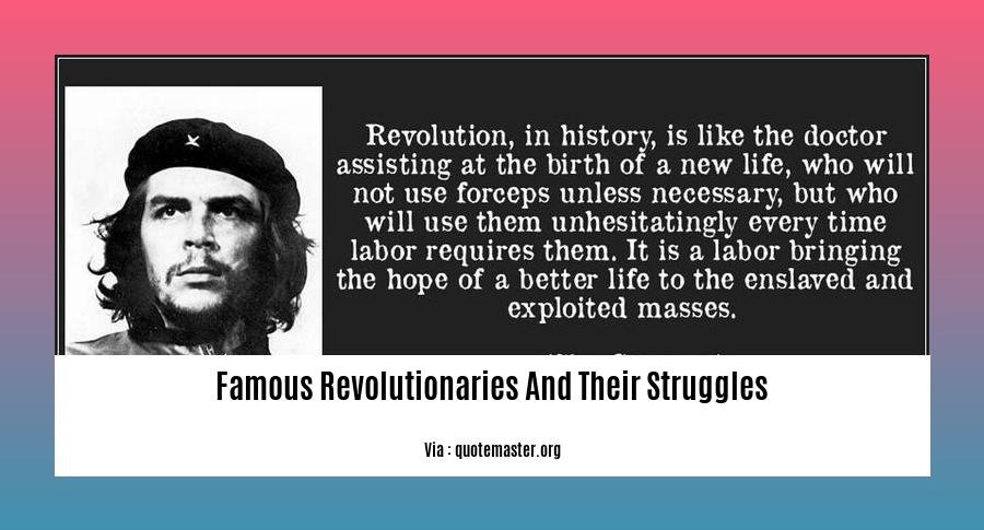 famous revolutionaries and their struggles 2