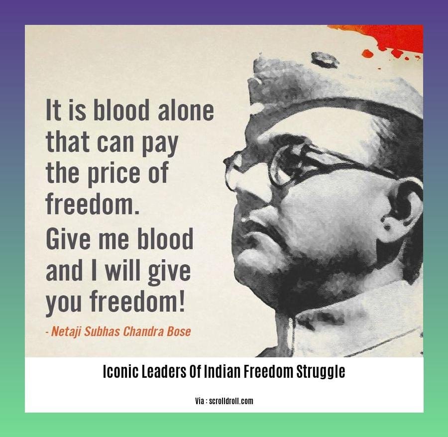 iconic leaders of indian freedom struggle