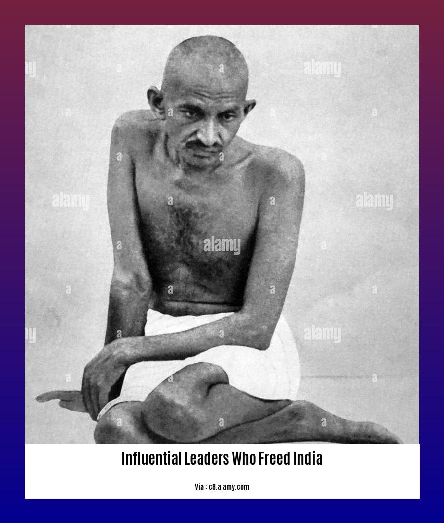 influential leaders who freed india