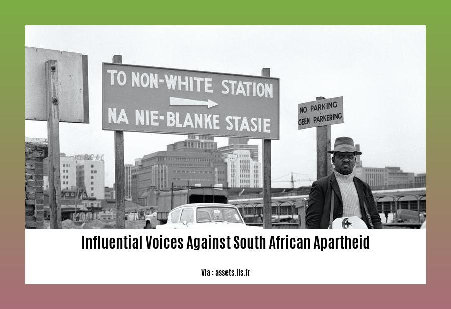 influential voices against south african apartheid