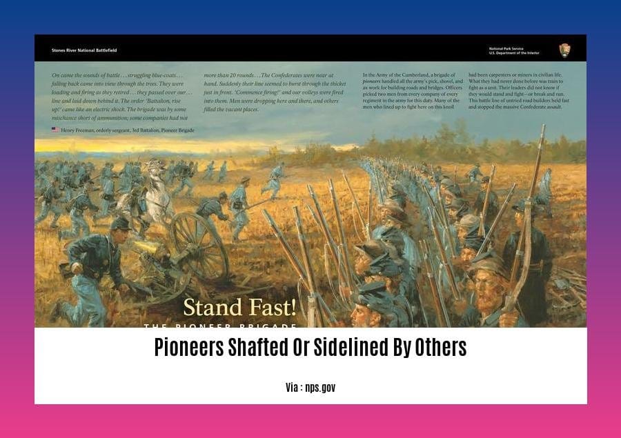 pioneers shafted or sidelined by others