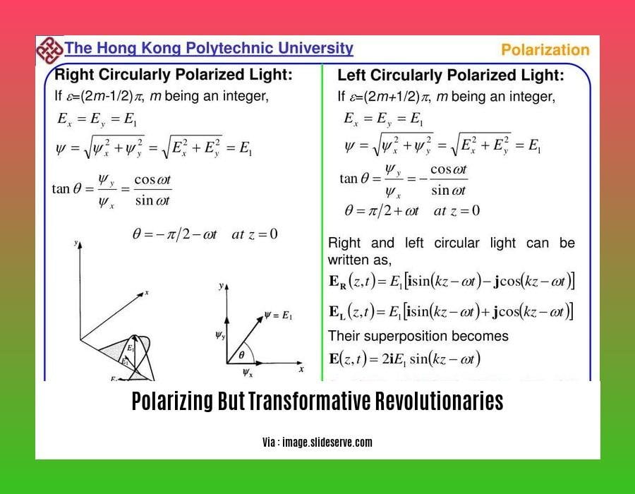 polarizing but transformative revolutionaries