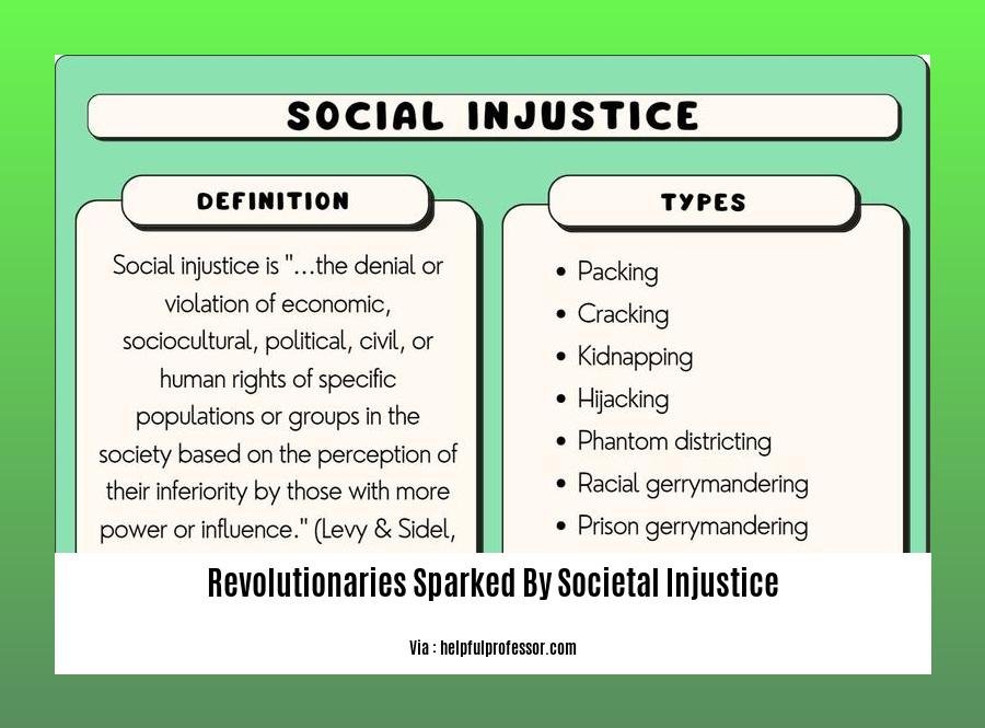 revolutionaries sparked by societal injustice