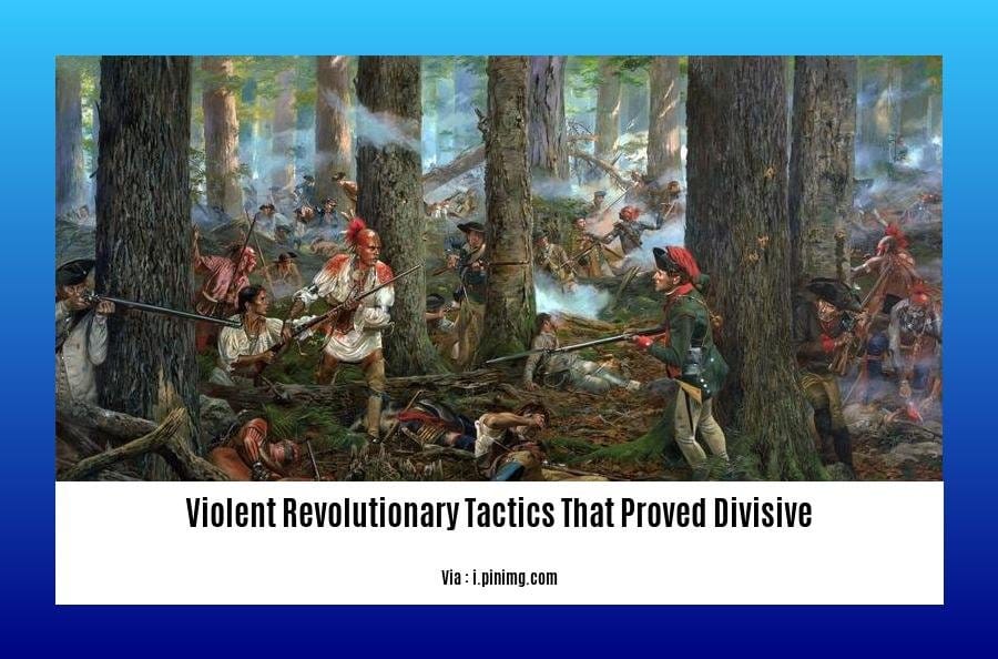 violent revolutionary tactics that proved divisive