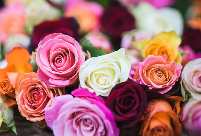 10-amazing-facts-about-flowers