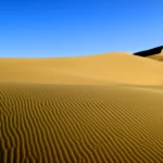 Desert Trivia