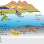 History through Sedimentary Facies