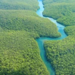 longest-river-in-the-world
