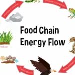 Producer-Consumer-Decomposer