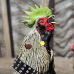 Weird Chicken Facts