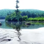 What Are the Rivers That Flow North