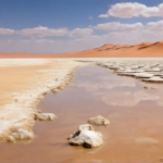 abiotic-components-of-desert