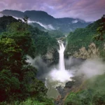 amazon-rainforest-facts