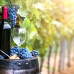 astonishing-facts-about-burgandy
