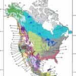 biomes-in-america
