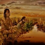 facts-about-tequesta-tribe