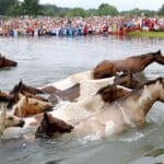history-of-chincoteague-island