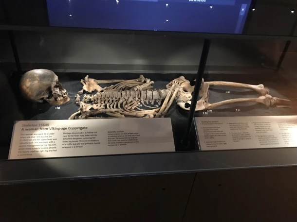 ivar-the-boneless-skeleton-found
