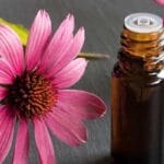 medicinal-properties-of-common-flowers
