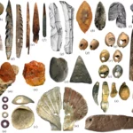 tools-of-the-middle-ages