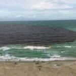 what-are-the-dark-spots-in-the-ocean