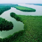 what-are-the-longest-rivers-in-africa