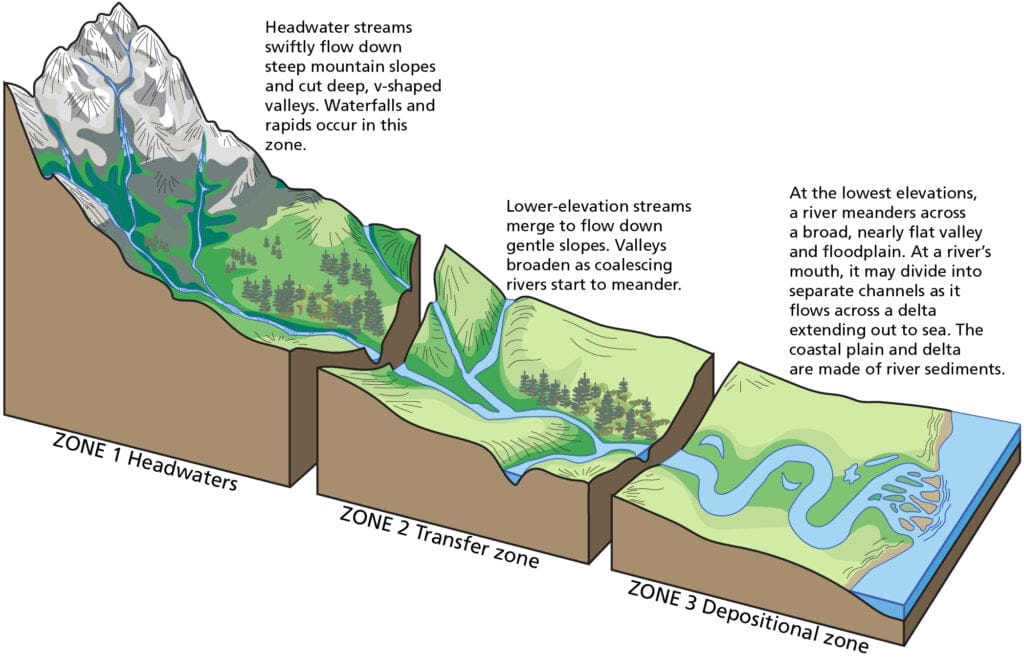 Unveiling the Estuary: Where River Meets Sea