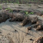 what-type-of-changes-does-erosion-cause