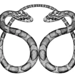 snakes-symbolize