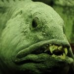 eel_wolf