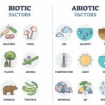 abiotic_factor_crates