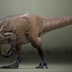 alesaurus