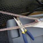 alligator_gar_bite