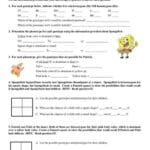 bikini_bottom_genetics