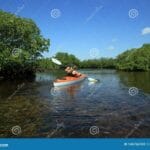 biscayne_national_park_snorkeling