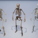 body_skeletonized
