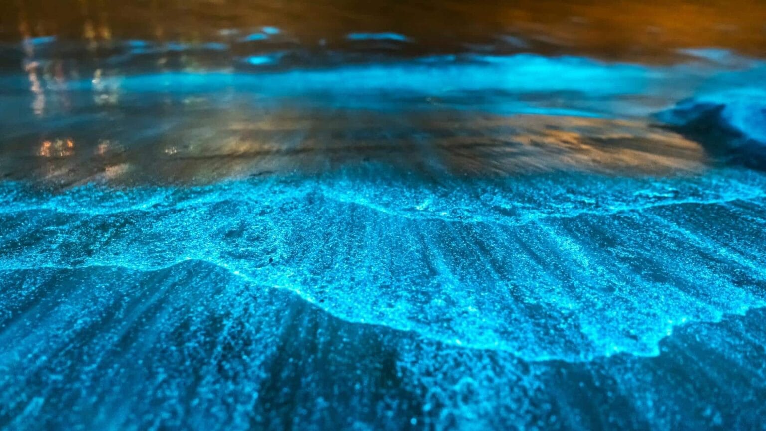 Experience the Magic Cocoa Beach Bioluminescence Kayaking Tours 2024