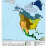 color_of_the_north_american_biomes