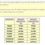 conjugate_the_verb_conocer