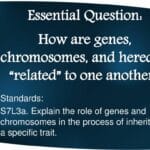 explain_the_role_that_heredity_plays_in_skill_related_fitness