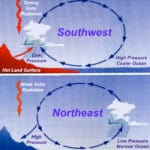 how_did_the_knowledge_of_monsoon_winds_influence_trade