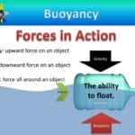 how_is_buoyancy_affected_in_an_estuary