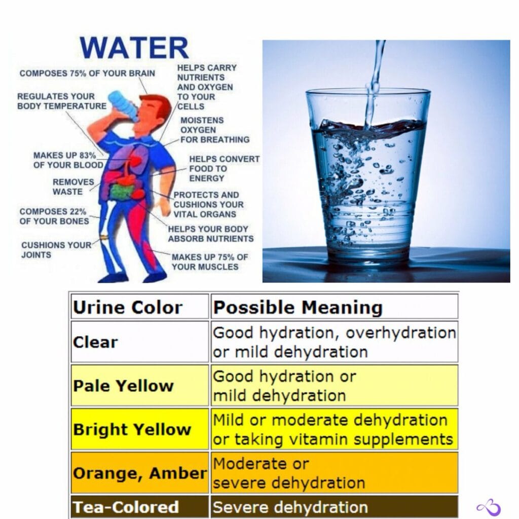 Title: How Many Ounces in 2.7 Liters? A Quick Conversion Guide