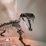 inostrancevia