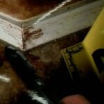 jodi_arias_murder_scene