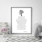 joyce_kilmer_trees